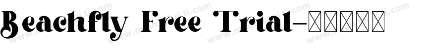 Beachfly Free Trial字体转换